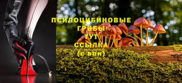 2c-b Белокуриха