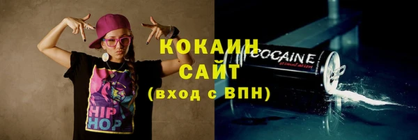 кокс Бородино