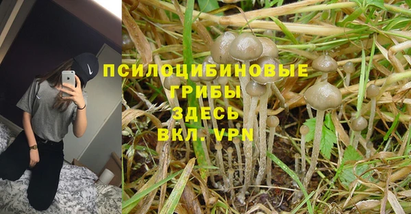 2c-b Белокуриха